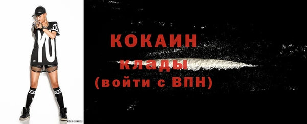 ГАЛЛЮЦИНОГЕННЫЕ ГРИБЫ Абаза
