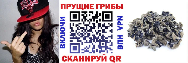 Галлюциногенные грибы мицелий  KRAKEN как зайти  Киров 